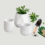 Home & Garden