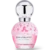 DREAMLAND Pink Perfume Eau De Parfum (EDP) 50ml for Women – Fresh Floral Scent